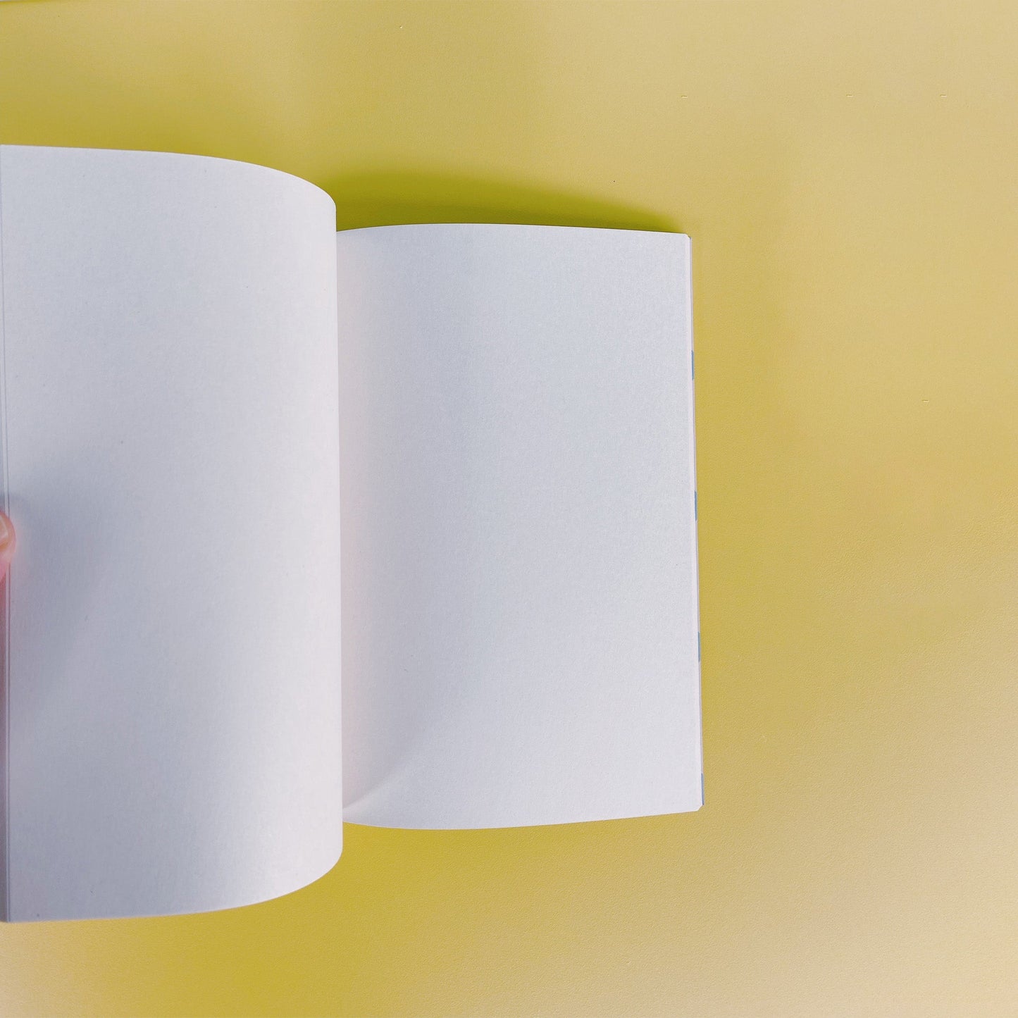 Hortus Pla(i)n Journal