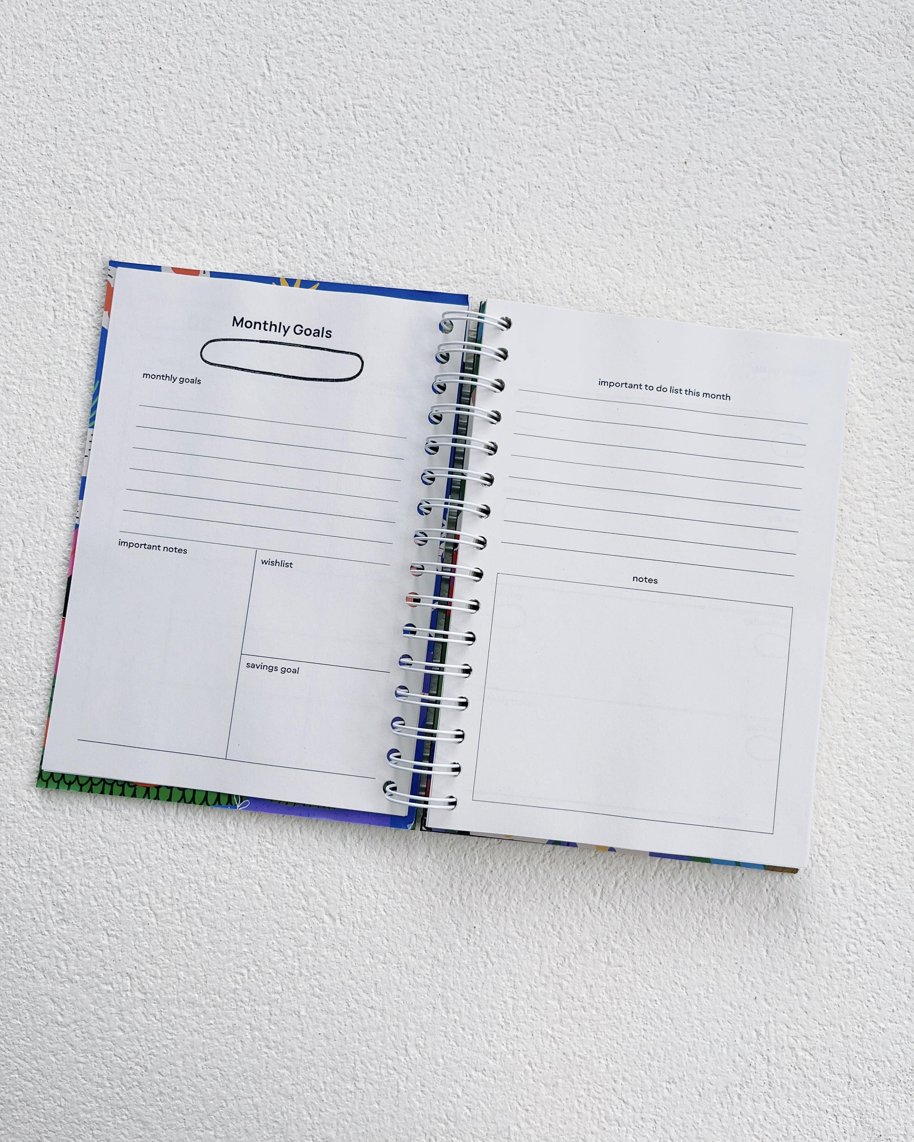 Limina Master Plan Journal