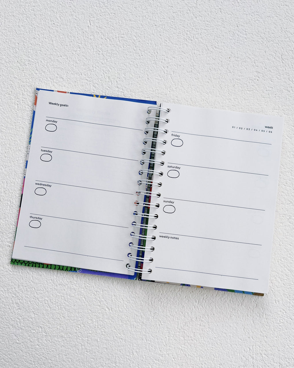 Limina Master Plan Journal